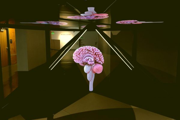 brain-hologram_t20_1b2JXN-scaled-everglow